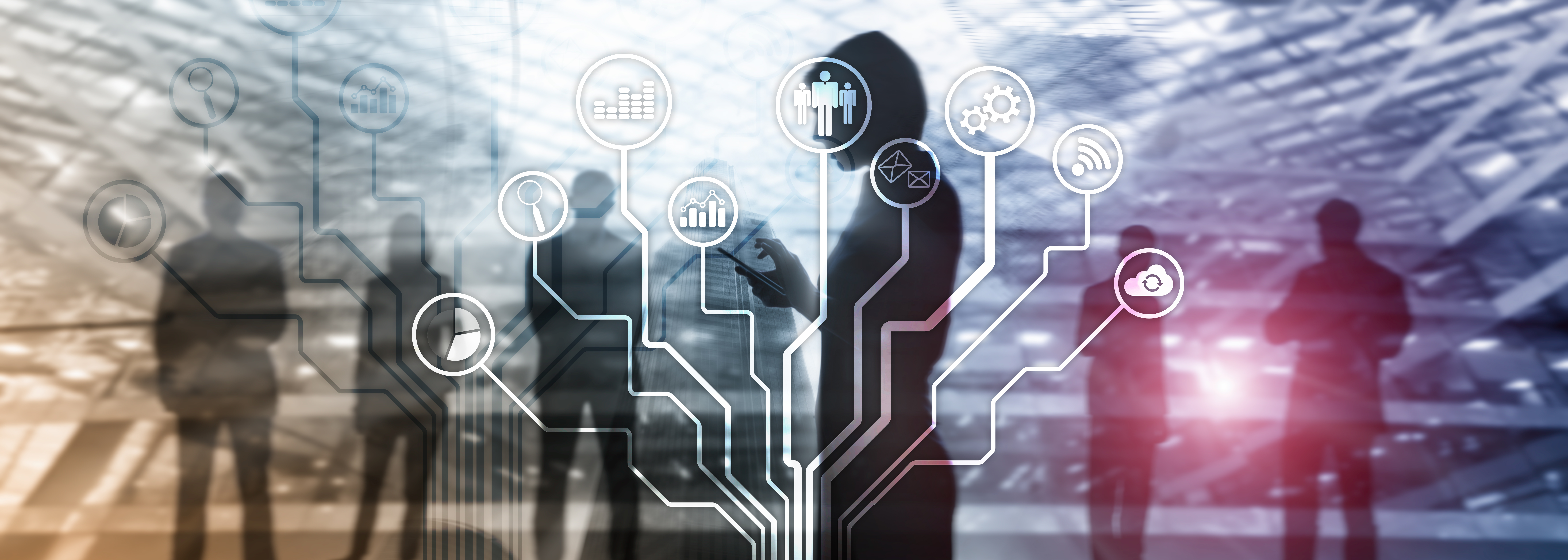 Net-Workforce team at work